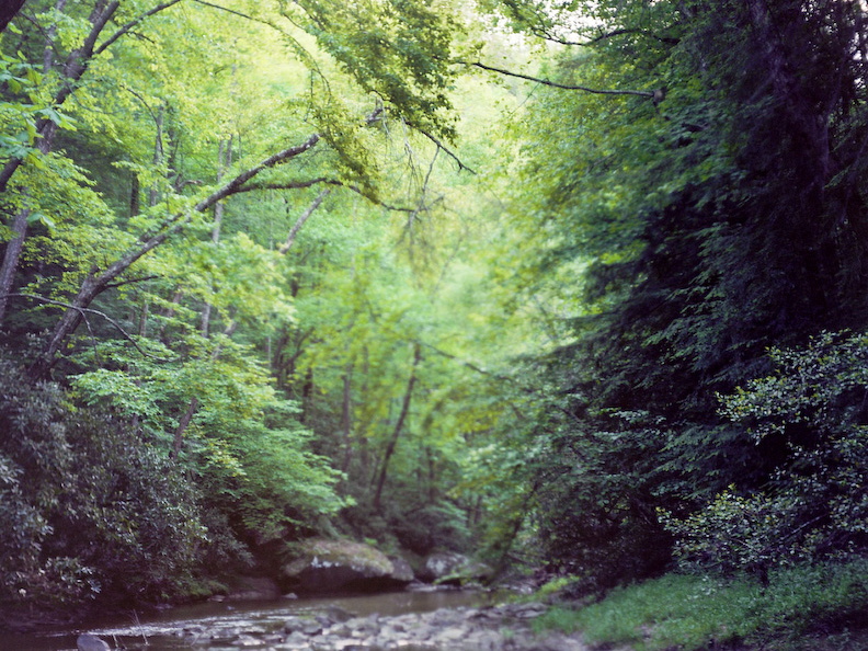 Downstream of Dog Fork